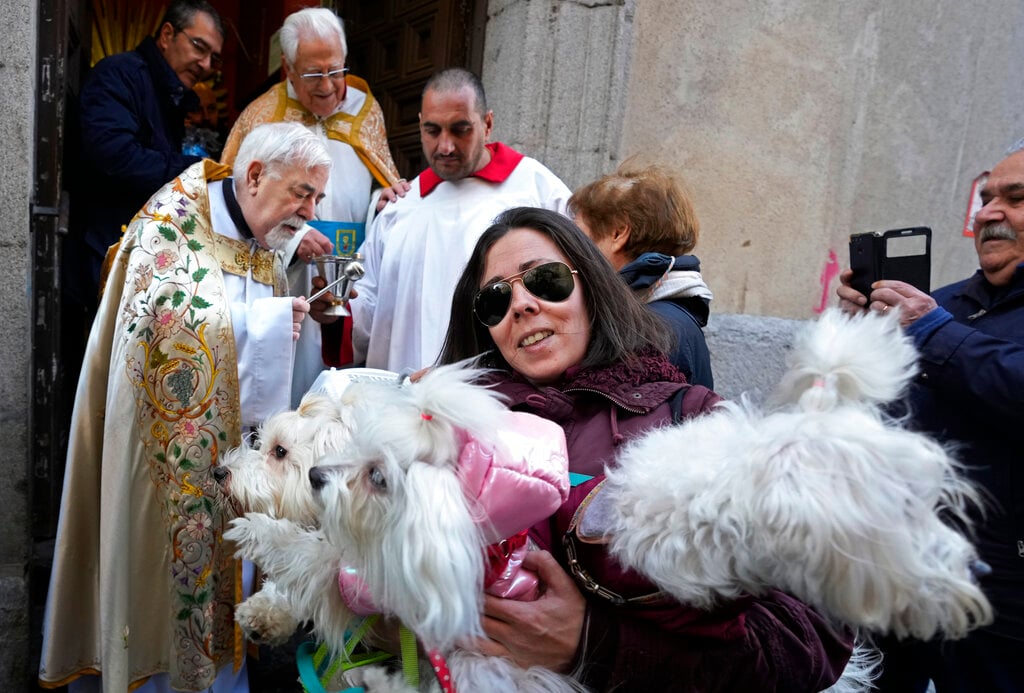 Spanish pets blessed by clergymen in annual ritual