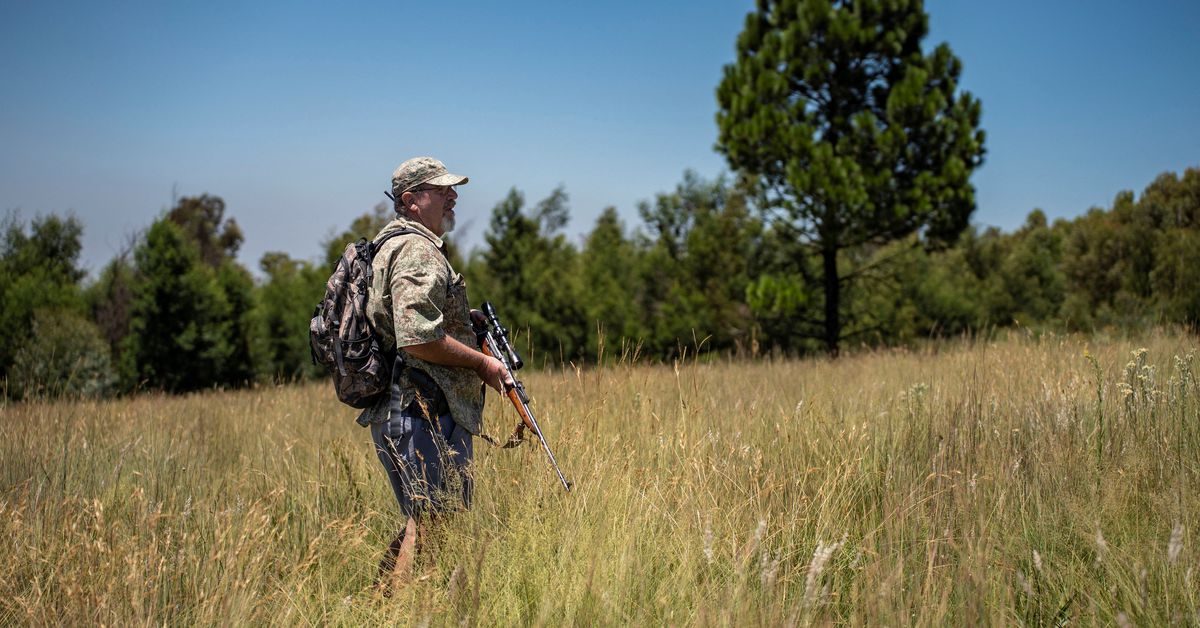 Tiger euthanised in South Africa after escaping from personal house