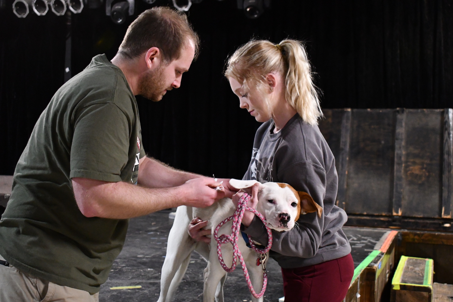 186 pets vaccinated, chipped Saturday by Oktibbeha Humane Society