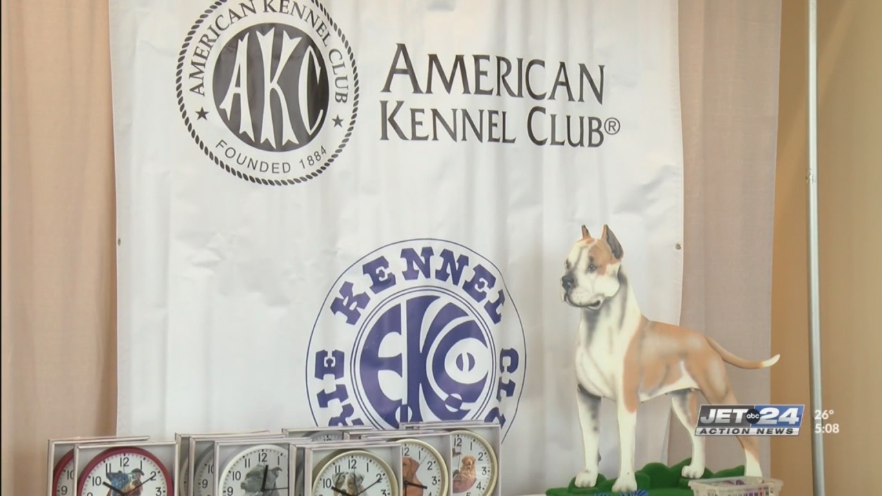 Erie Kennel Golf equipment’ all-breed canine present returns to the Bayfront