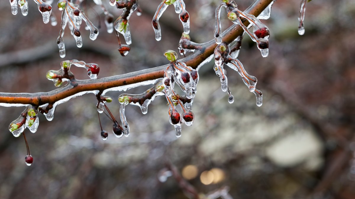 MassDOT Advises Vacationers on Freezing Rain and Snow That May Affect Journey – NBC Boston