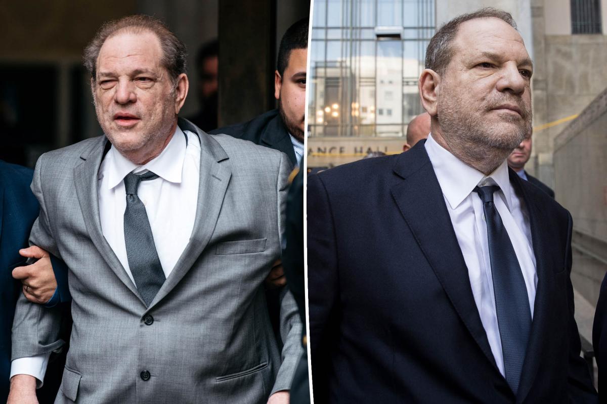 Harvey Weinstein appeals, citing trial’s ‘carnival ambiance’