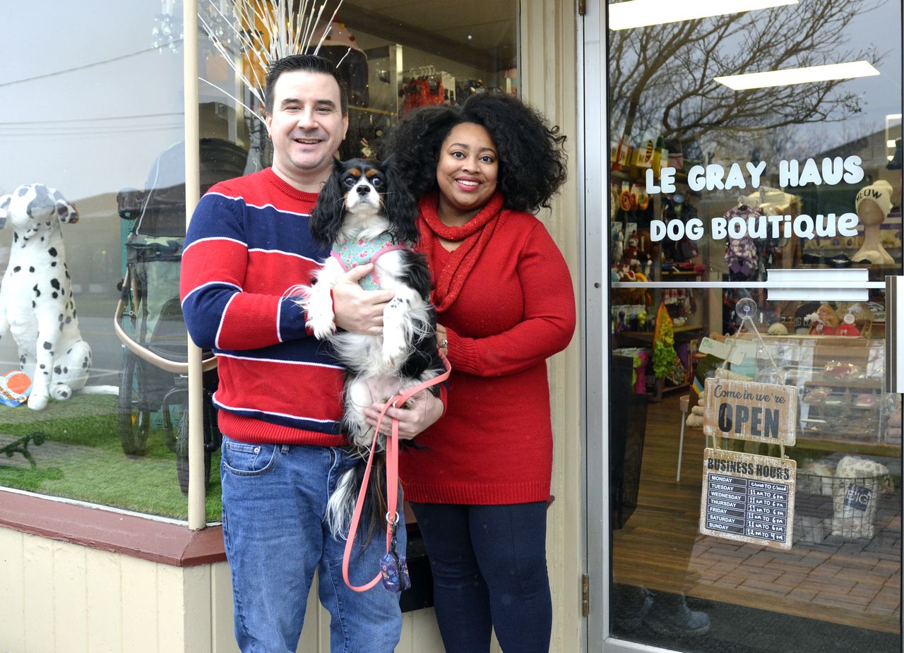 New pet boutique is paw-sitively fur-bulous: Olmsted Dates and Knowledge