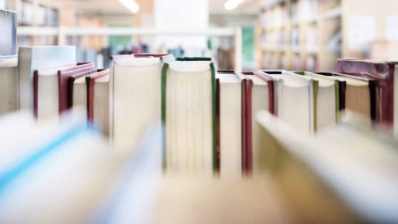 Beaufort Board of Schooling retains 6 controversial books on college cabinets