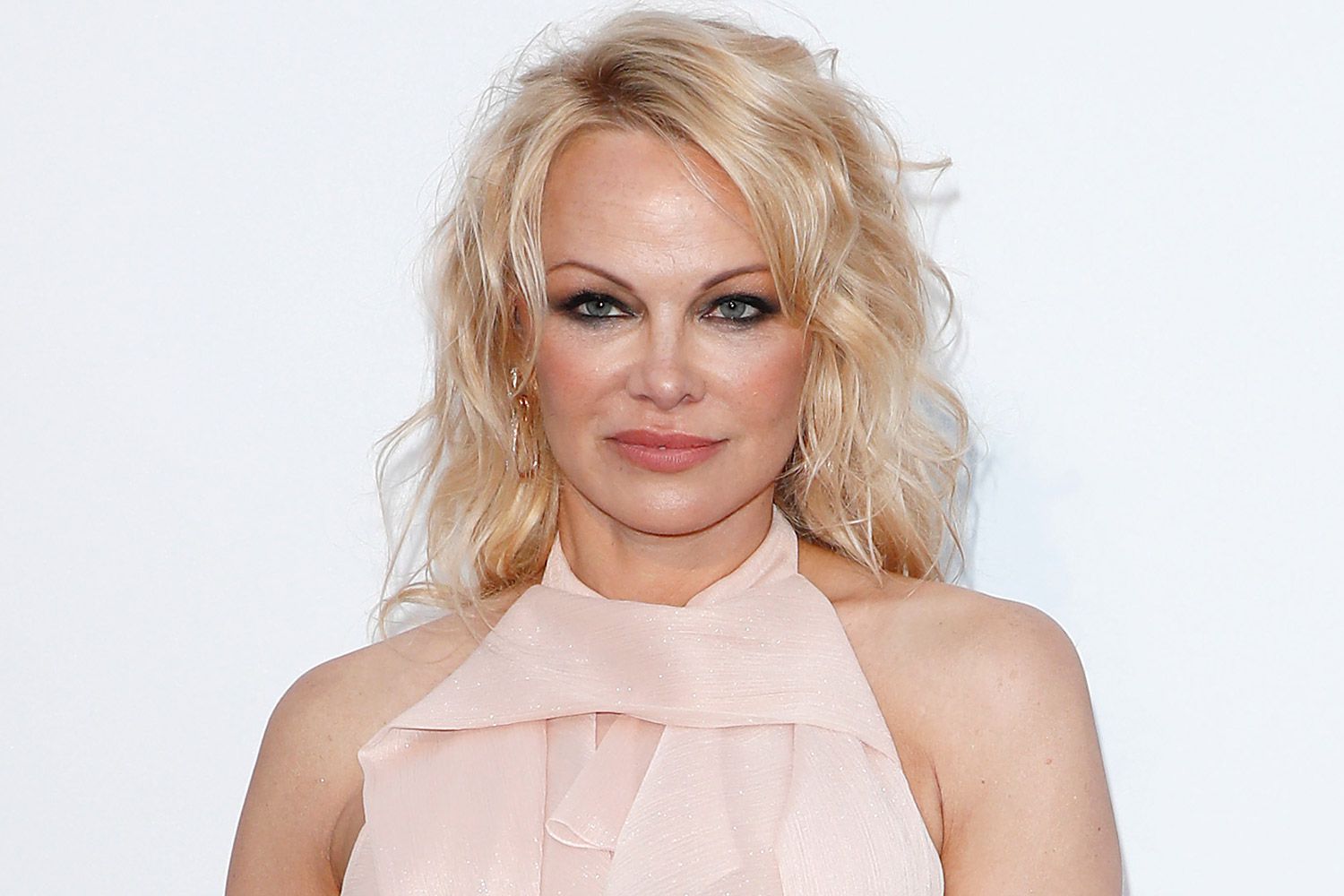 Pamela Anderson Has By no means Watched Stolen Intercourse Tape