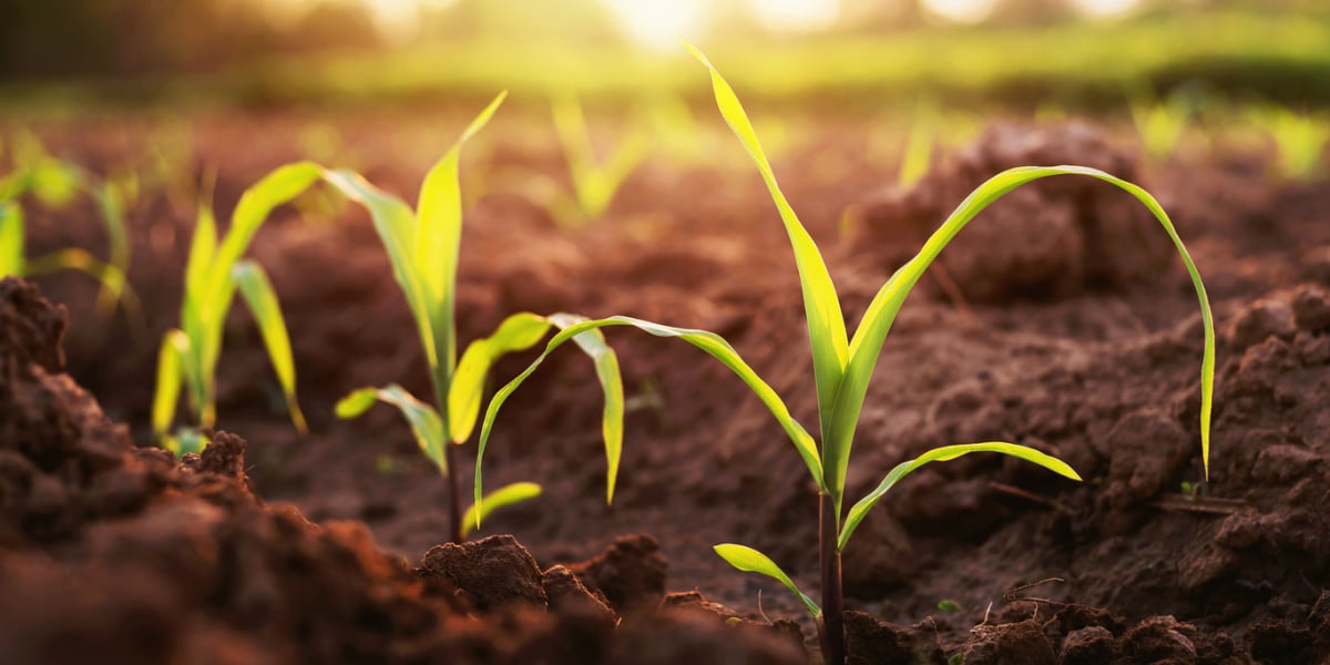 John Deere Sensor Tech Helps Sustainable Agriculture – – SDxCentral