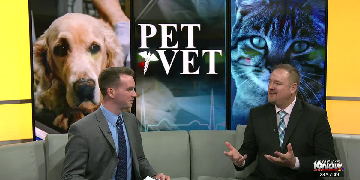 Pet Vet: Pet Poison Prevention