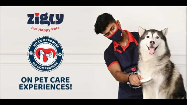 Pet model Zigly’s launches OOH, radio marketing campaign