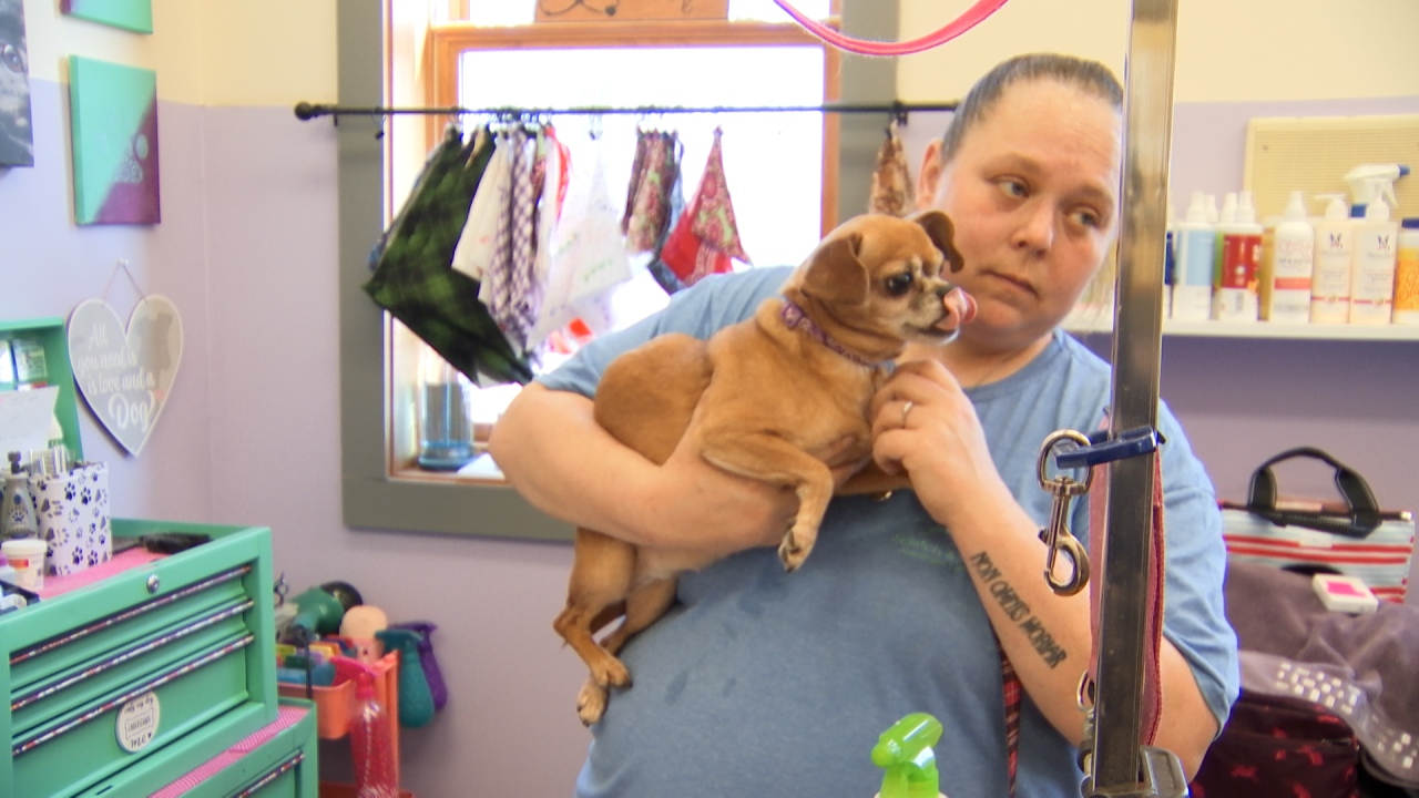 Pets and their homeowners line up for vaccines in Newburgh