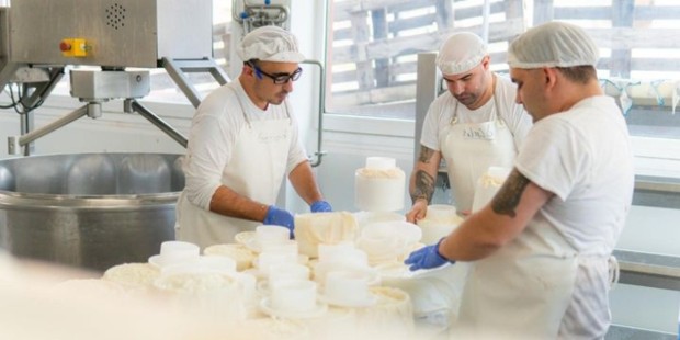 World Cheese Awards give prizes to cheese made by folks with disabilities