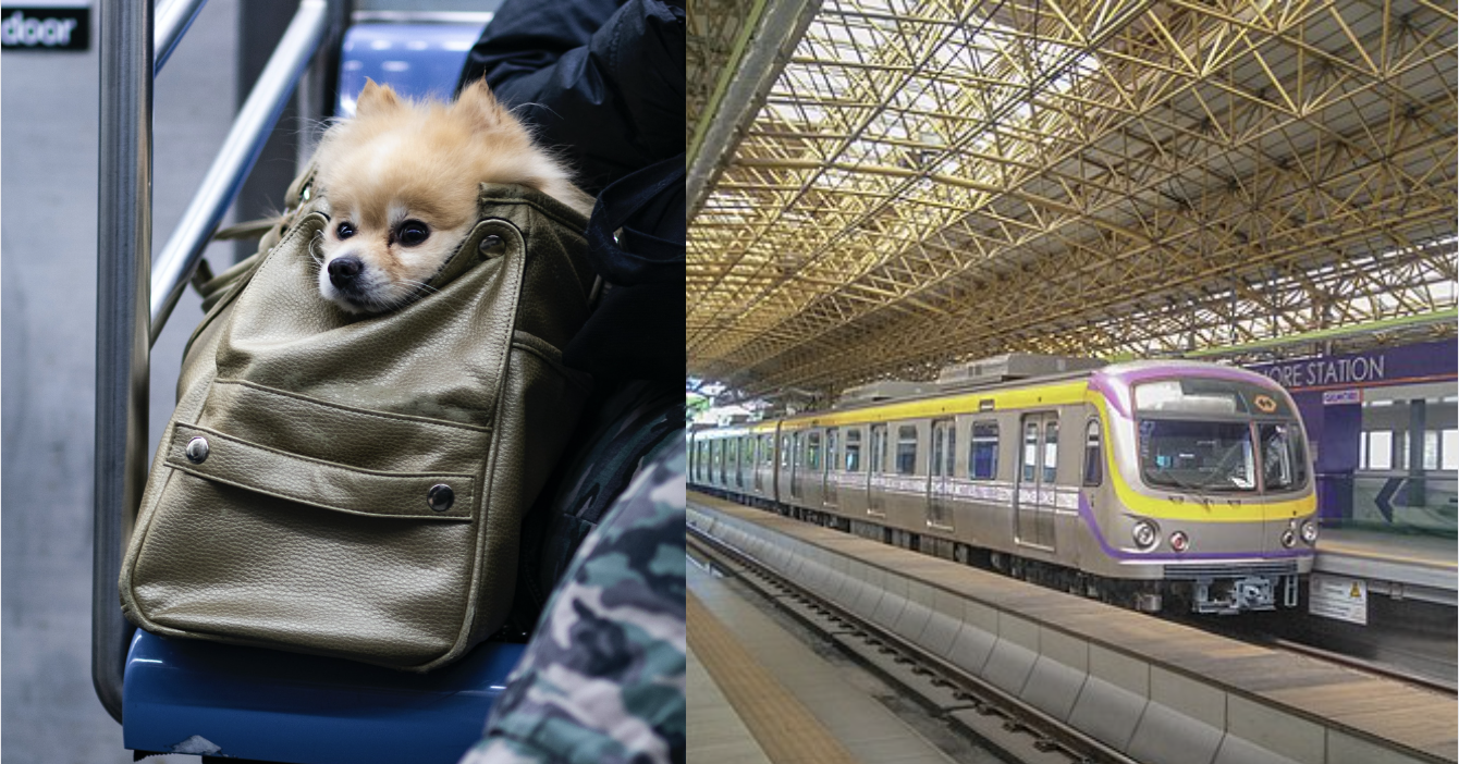 Will LRT-2 enable pets onboard quickly?