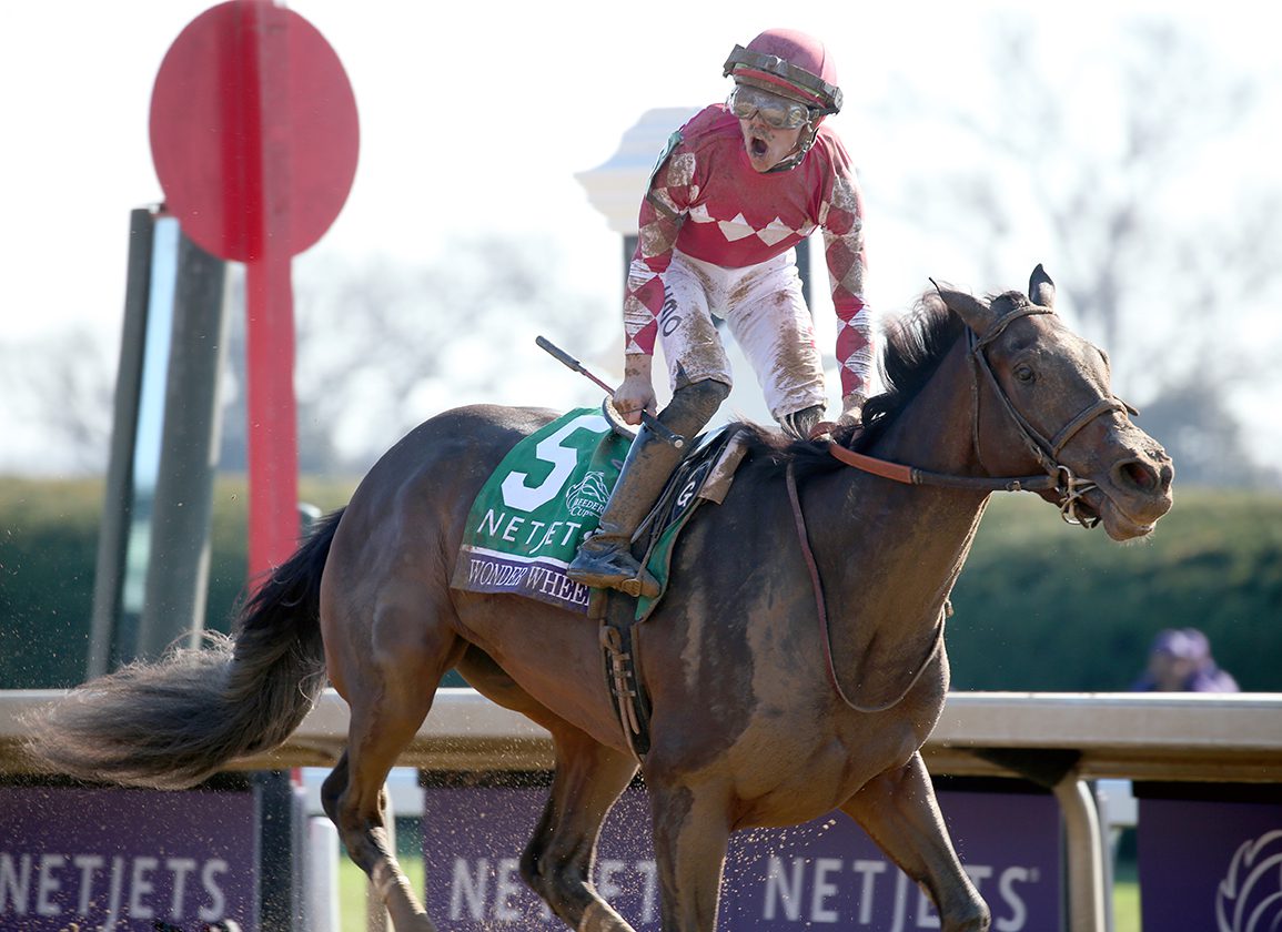 Surprise Wheel and Forte Gather 2-Yr-Previous Eclipse Awards