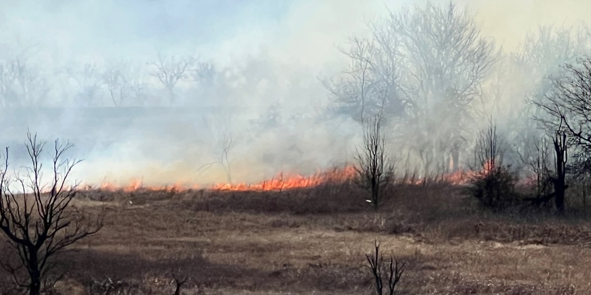 County workers assist to avoid wasting pets throughout quickly spreading grassfire