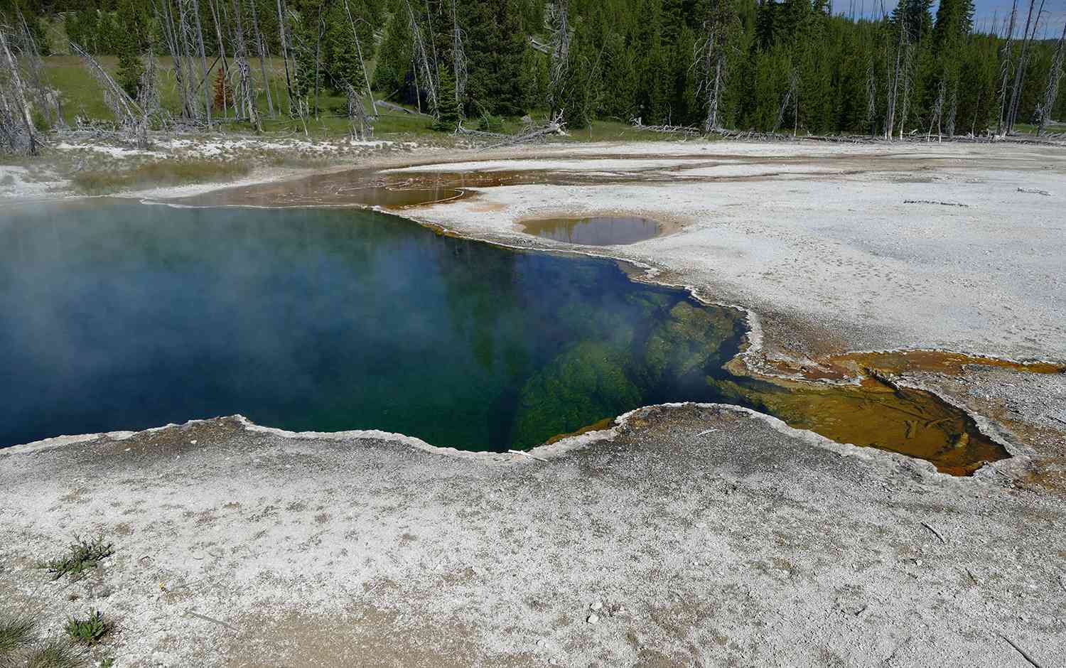 Poems and 7 Linked to Man Whose Foot Was Discovered Floating in Scorching Pool