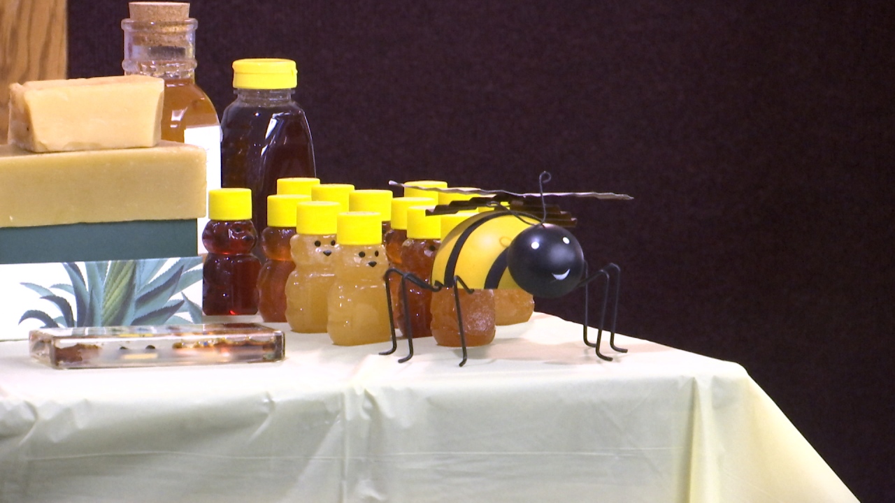 ‘Beekeeping 101’ attracts dozens to Meadows Buying Heart