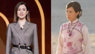 Charmaine Sheh Refused To Play Villains For 15 Years After Struggle And Magnificence Function Made Her Lose An Endorsement Deal