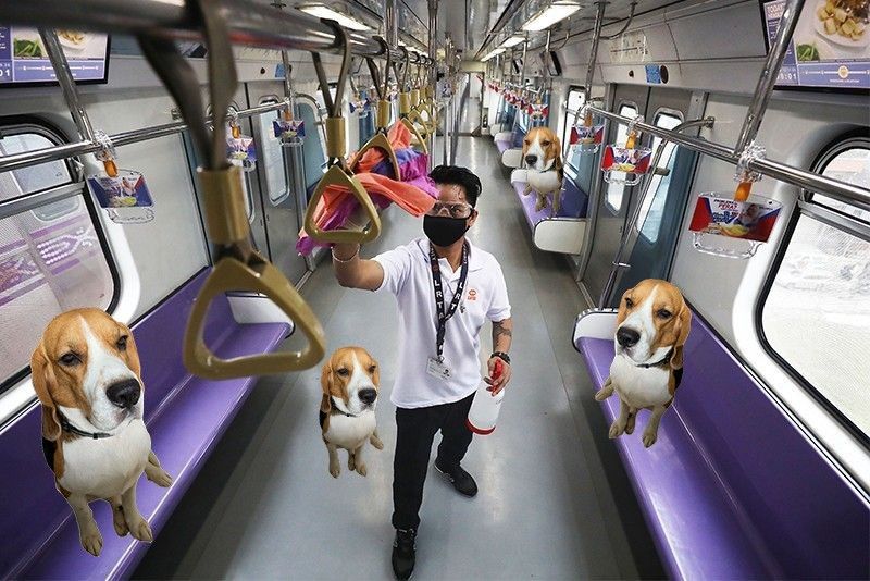 Pets to be allowed in LRT-2 by February, however unspecified ‘huge’ furbabies prohibited