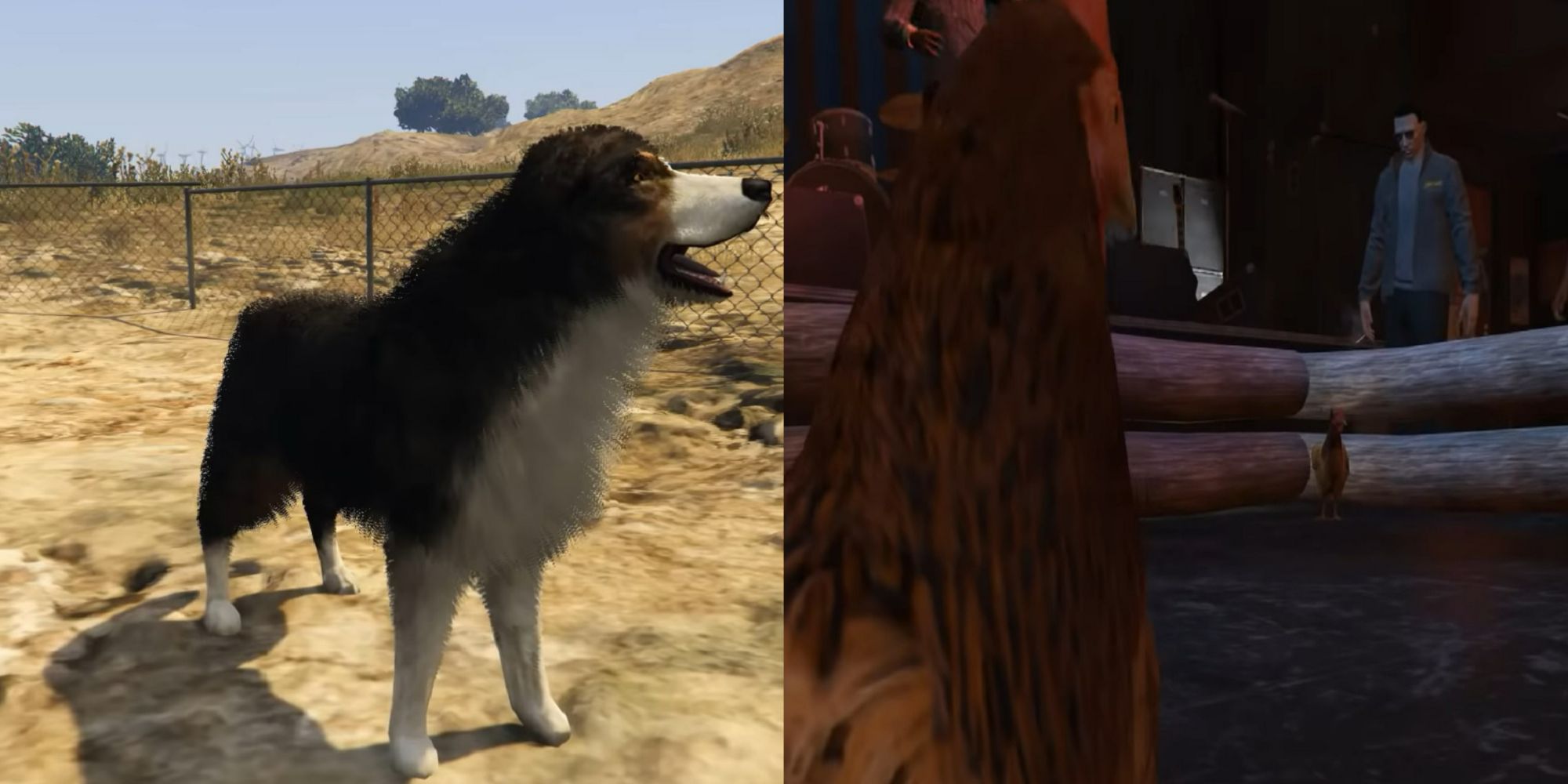 The Finest Pets In The GTA Collection