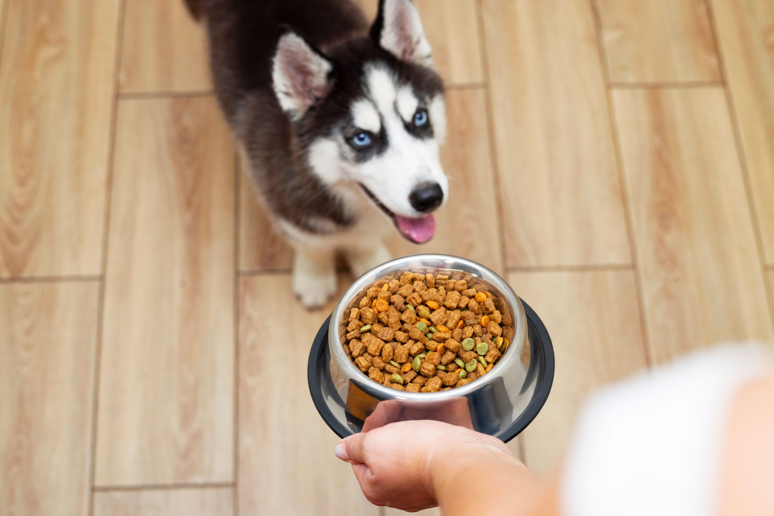 Hill’s Pet Diet groups up with Critter Fixers to help combat in opposition to pet weight problems