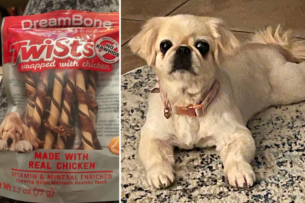 Canine house owners declare treats are making pups violently in poor health — and will have killed one pet