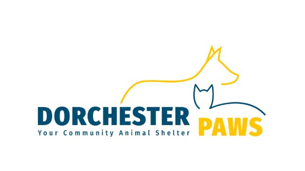 Dorchester Paws seems to be to assist pets stay with their house owners in Dorchester County – ABC NEWS 4