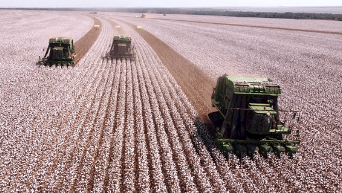 How tech-driven traceability within the Brazilian cotton trade paves … – e27