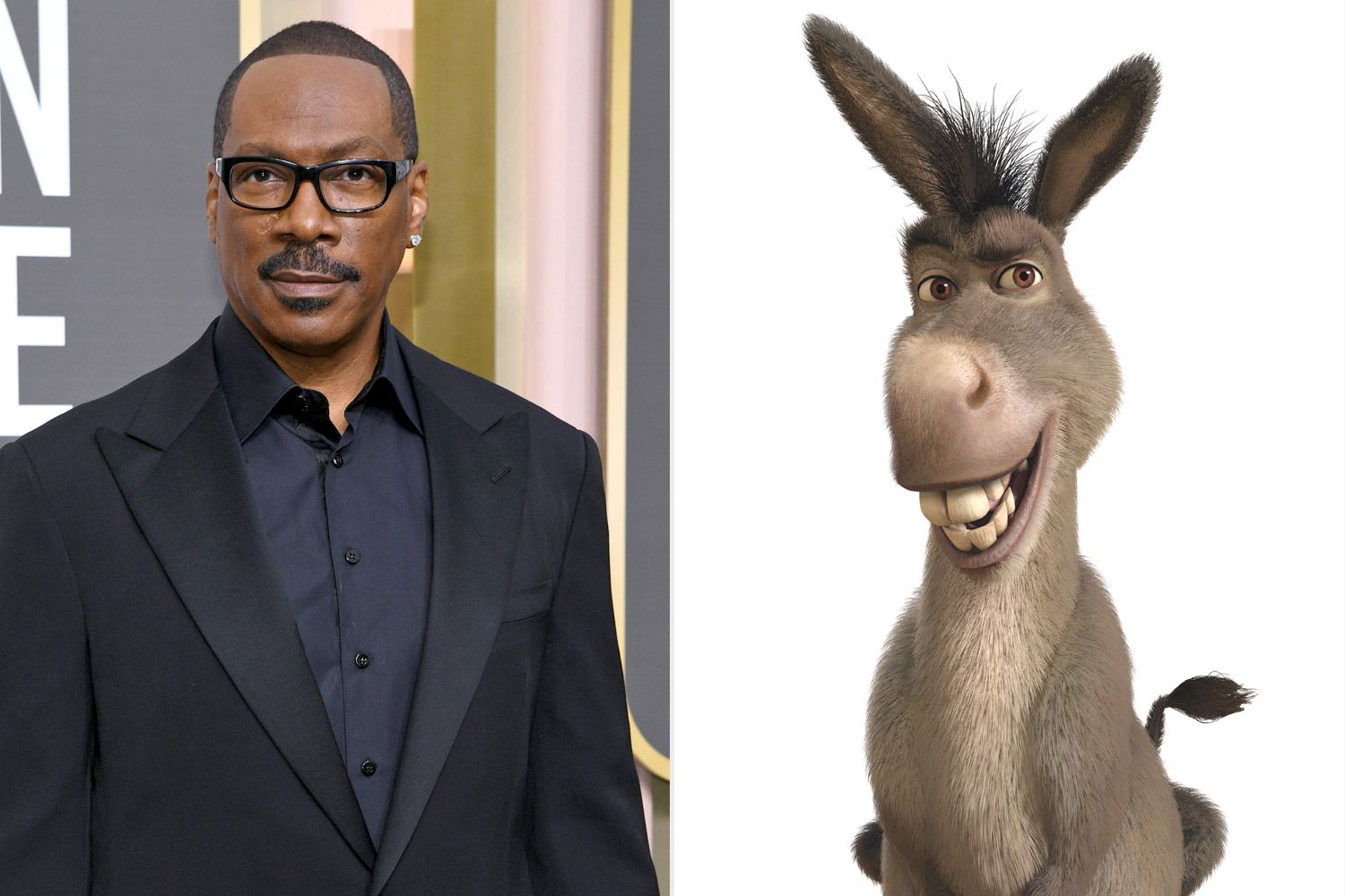 Eddie Murphy Says He’d ‘Completely’ Reprise Shrek Function of Donkey