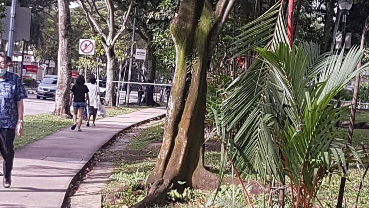 Police investigating after 28-year-old man discovered useless alongside Serangoon Avenue 4