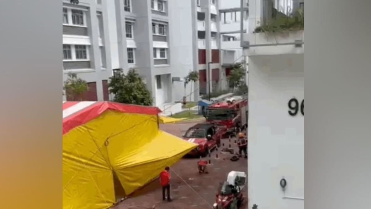 Contractor issued summons for erecting tent that delayed SCDF’s arrival to Henderson Street blaze