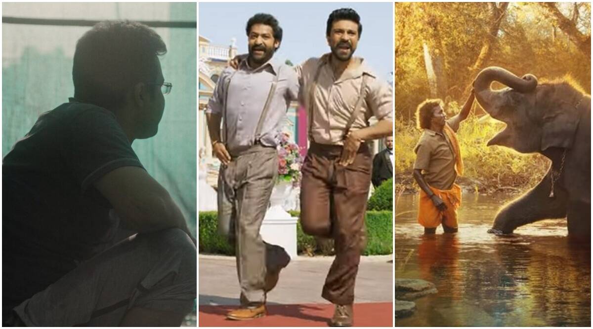 Oscars 2023: Full record of nominees, India scores 3 nominations