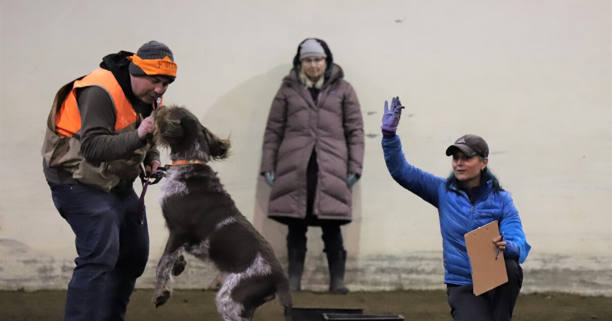 At wild and wooly truffle canine competitors, victors at all times win…by a nostril