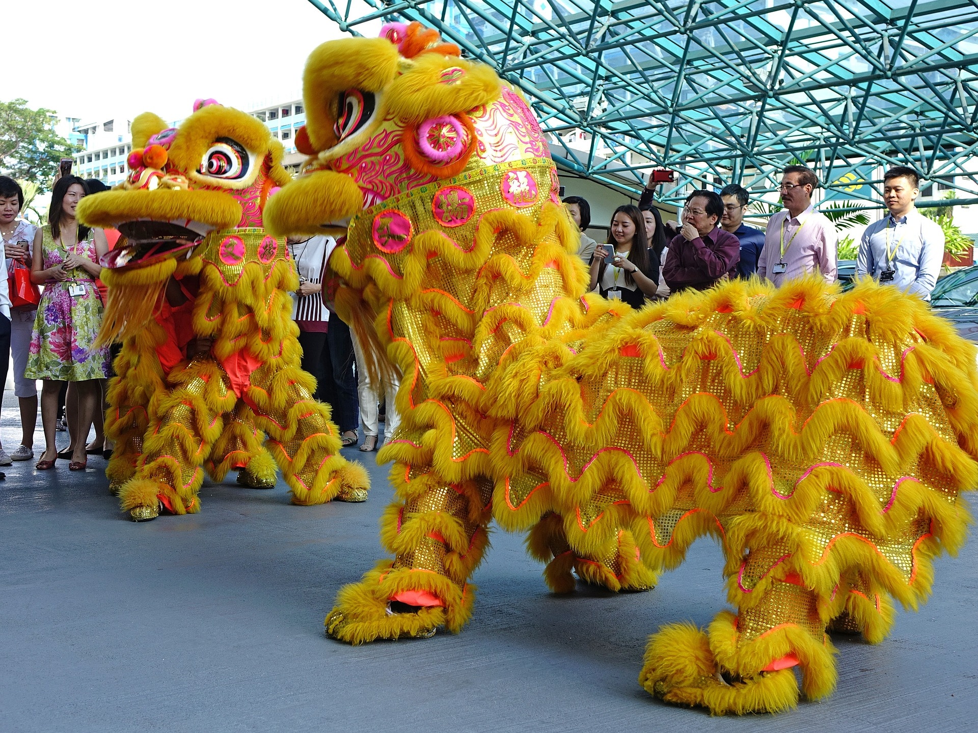 Honoring Lunar New Yr – Cupertino Right this moment