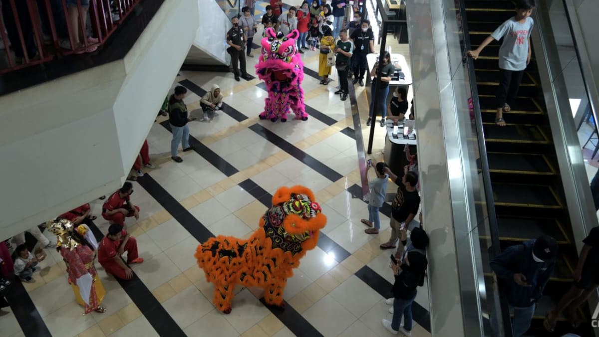 ‘Custom value preserving’: Lion dance sees revival after decades-old ban in Indonesia