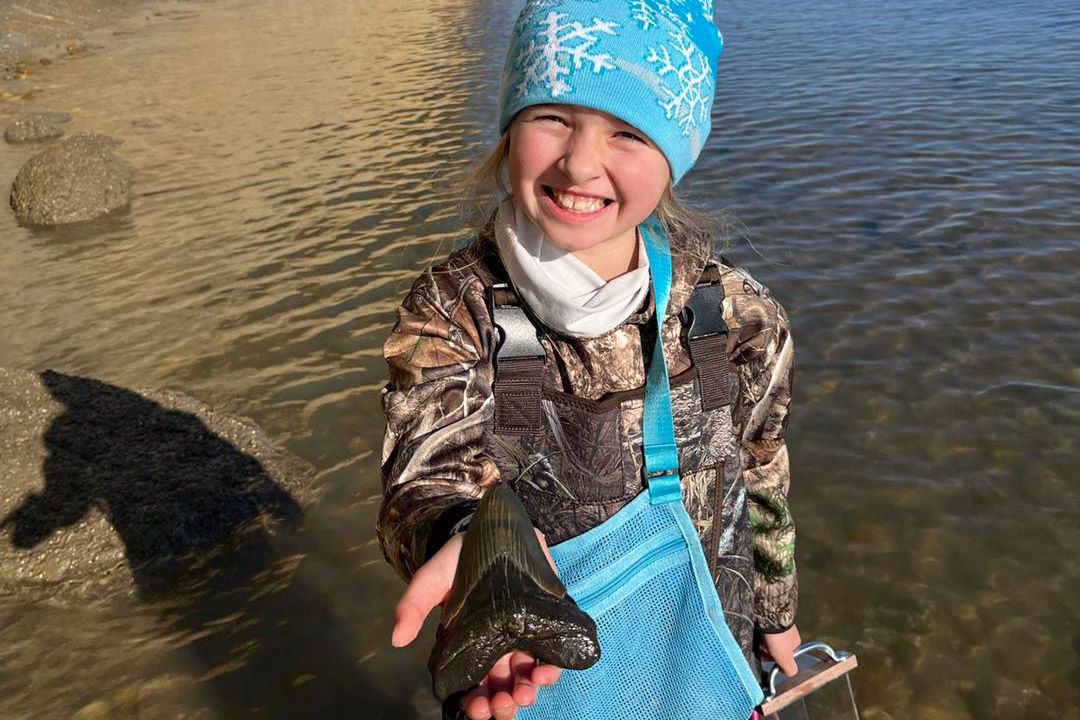 Lady, 9, Finds Megalodon Shark Tooth Fossil at Least 3M Years Outdated