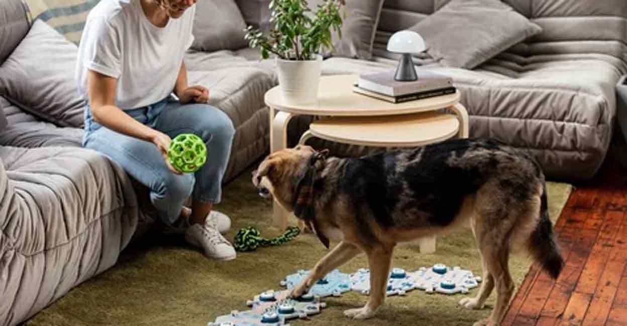 FluentPet Join: A system that lets pets inform what they want | Life-style Information