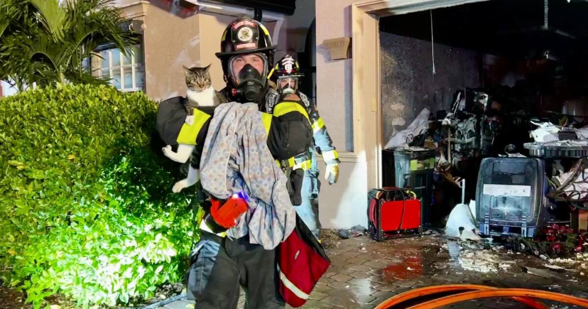 South Path Fireplace & Rescue reunites home-owner with pets after residential hearth