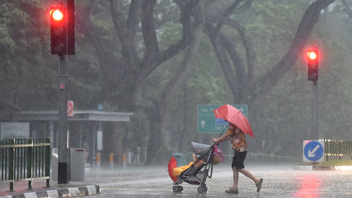 Wetter and cooler situations anticipated throughout Chinese language New Yr interval