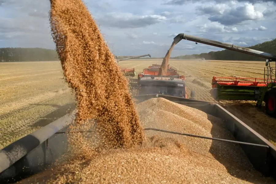 Egypt’s GASC books 120,000 tons of Russian Wheat