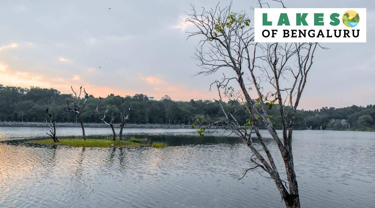 Lakes of Bengaluru: Sankey Tank, the scenic magnificence in eye of storm over highway widening venture