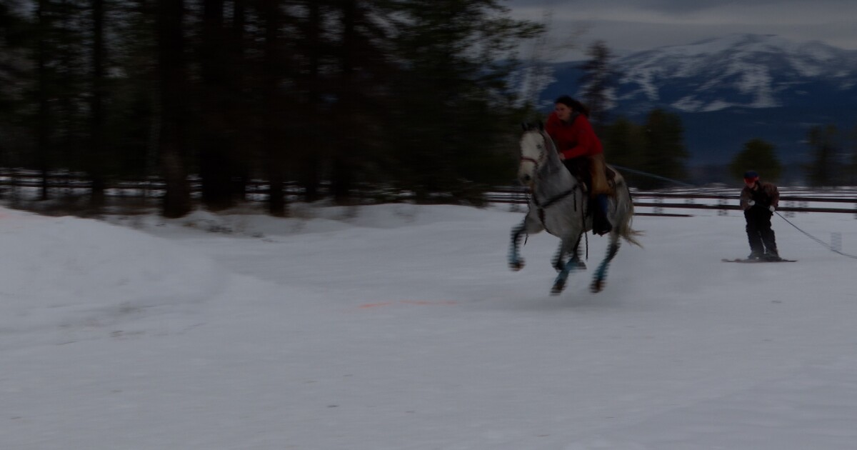 Montana winter sports activities in full swing with upcoming Whitefish Skijoring occasion