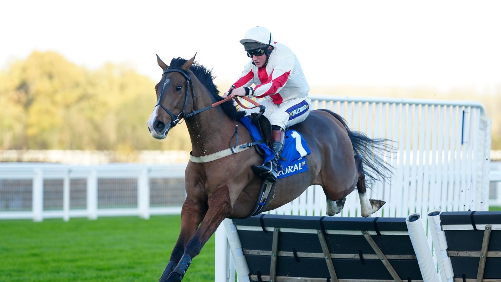 Right this moment on Sky Sports activities Racing: Goshen returns to chasing at Lingfield for Gary Moore workforce | Racing Information