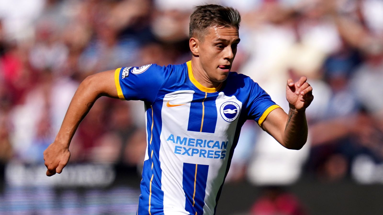 Leandro Trossard: Roberto De Zerbi confirms Belgium ahead is not going to play for Brighton in opposition to Liverpool as a result of angle and behavior points | Soccer Information