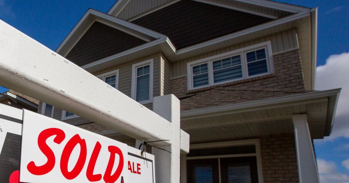 Canada’s house costs fell yearly for the first time since 2008 in This autumn, Royal LePage says – Nationwide