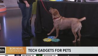 Tech Speak: Cool devices for household pets