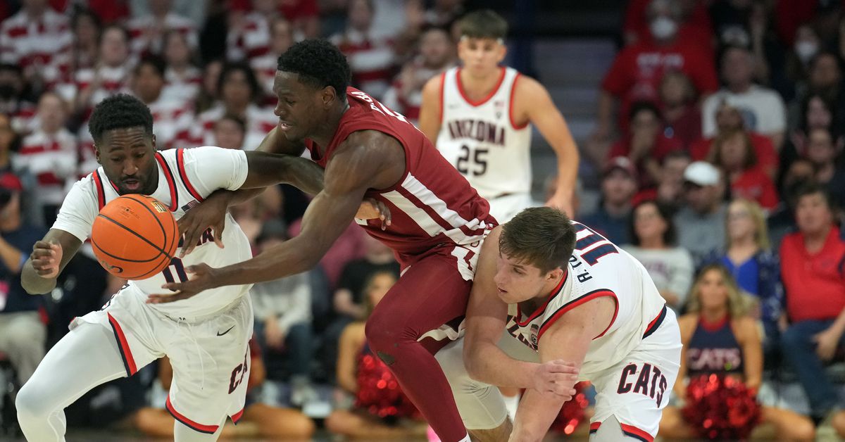 Arizona Wildcats males’s basketball slips in Related Press ballot after dwelling loss to Washington State