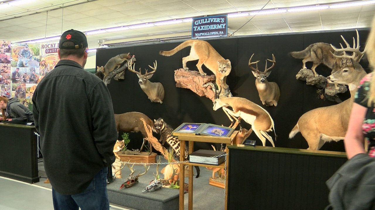 thirty fourth Annual Early Hen Sports activities Expo in Bloomsburg