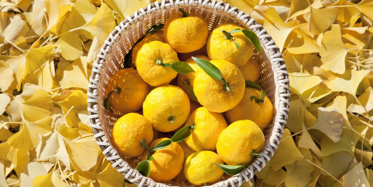 What Is Yuzu? Well being Advantages, Style and  Use It