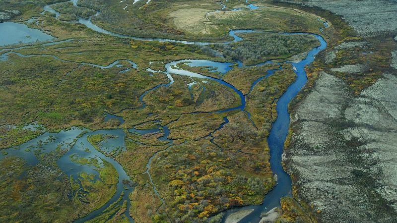 EPA blocks mining challenge proposal that threatened Alaskan salmon