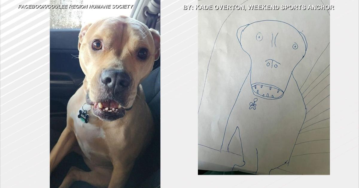 Coulee Area Humane Society brings again ‘Poorly Drawn Pets’ donation marketing campaign | Pets