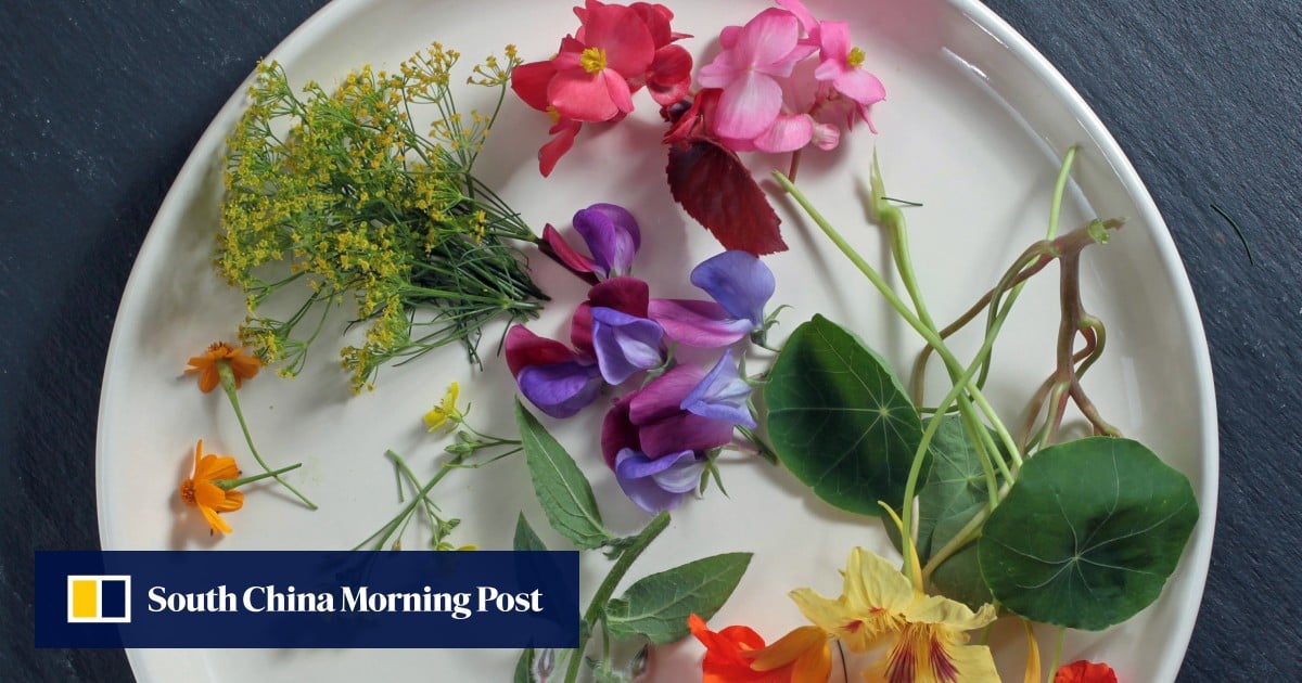 The well being advantages of edible flowers, from higher pores and skin to aiding digestion – South China Morning Publish